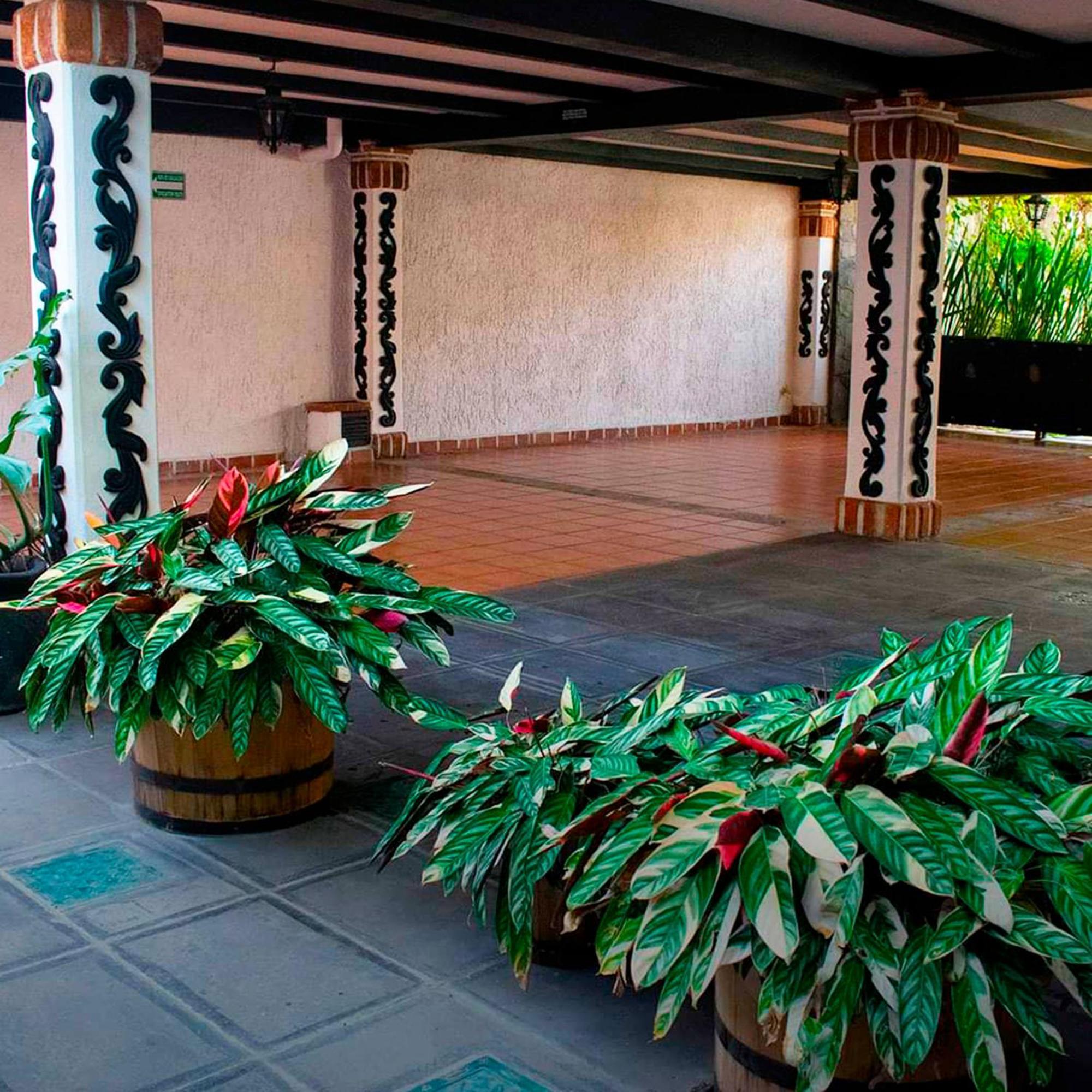 Hotel Boutique La Mansion Guadalajara Exterior foto